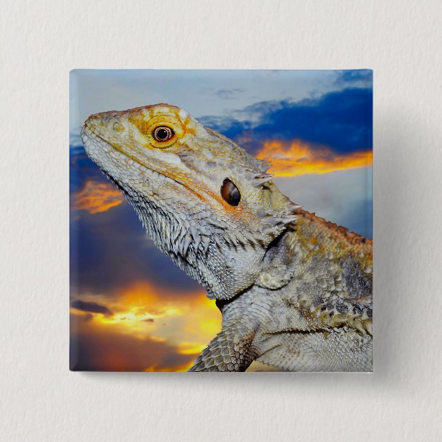 Gray Lizard at sunset 2 Inch Square Button (Front)