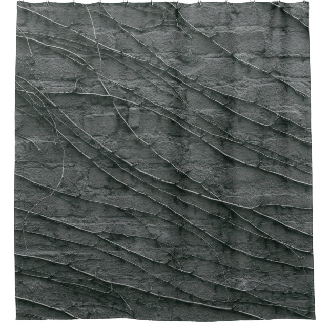 Gray painted brick wall (Front)