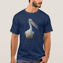 Gray Pelican standing.Isolated on a navy backgroun
