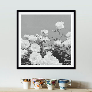 Gray Roses Floral Garden Photo Art Print Poster