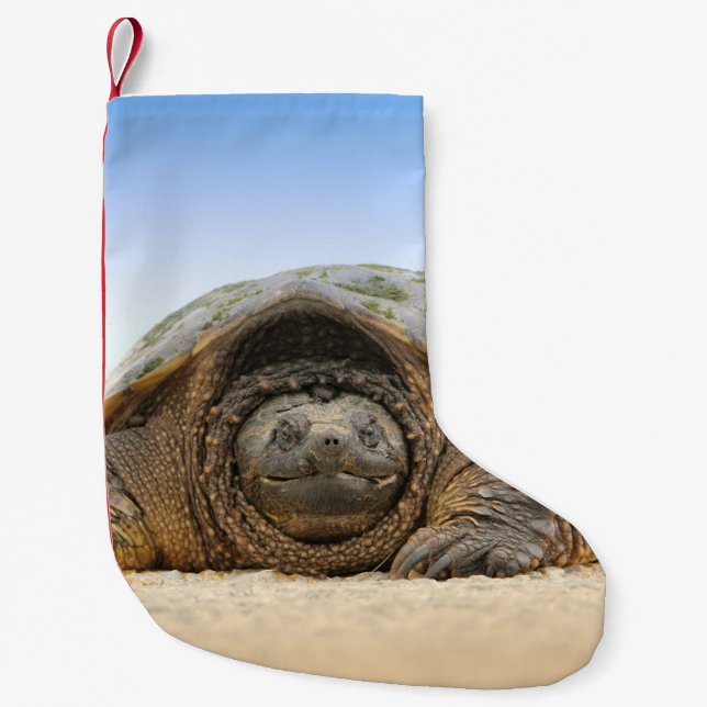 GRAY SAND TURTLE SMALL CHRISTMAS STOCKING (Front)