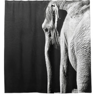 GRAY SCALE PHOTO OF ELEPHANT