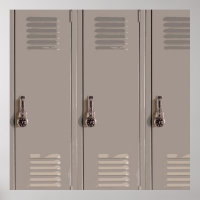 Gray School Lockers, High School Student