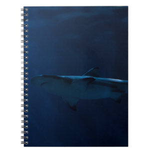 GRAY SHARK IN BODY OF WATER NOTEBOOK