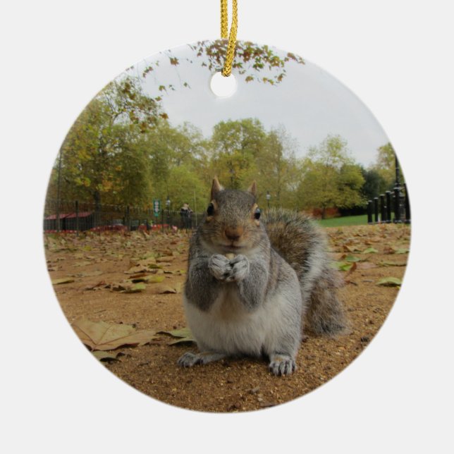 Gray Squirrel Hyde Park. Ceramic Ornament (Front)