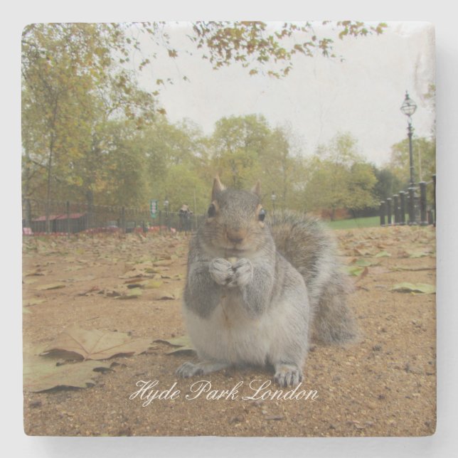 Gray Squirrel Hyde Park London. Stone Coaster (Front)