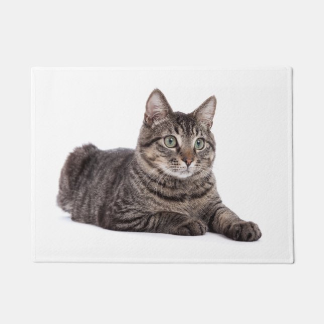 Gray Tabby Cat Doormat (Front)