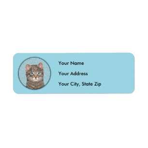 Gray Tabby Cat Painting - Cute Original Cat Art
