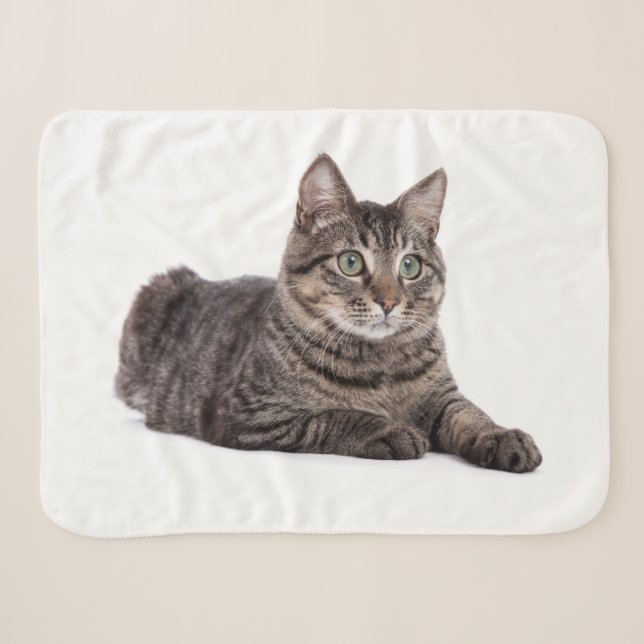 Gray Tabby Cat Sherpa Blanket (Front (Horizontal))