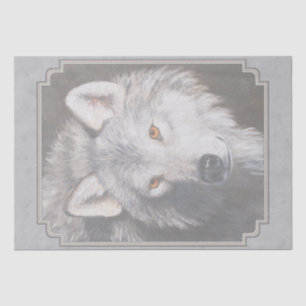 Gray Timber Wolf Face Tissue Paper