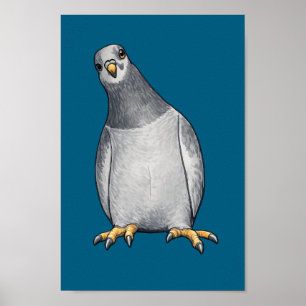 Gray White Doves - Turquoise Poster
