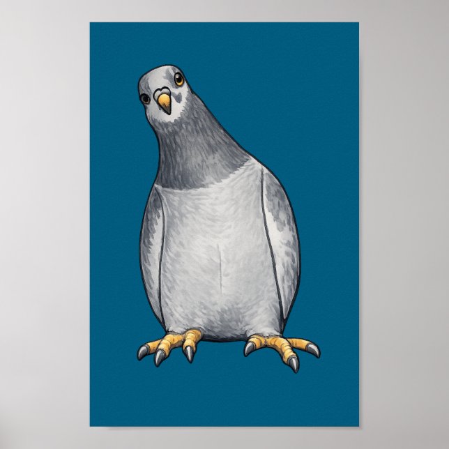 Gray White Doves - Turquoise Poster (Front)