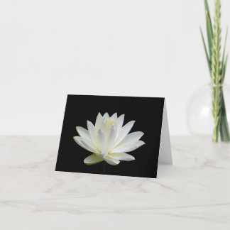 Gray White  Water Lily Blank Note Greeting Cards