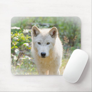Gray Wolf, Calm Canine  Mouse Pad