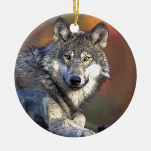Gray wolf ceramic ornament (Front)