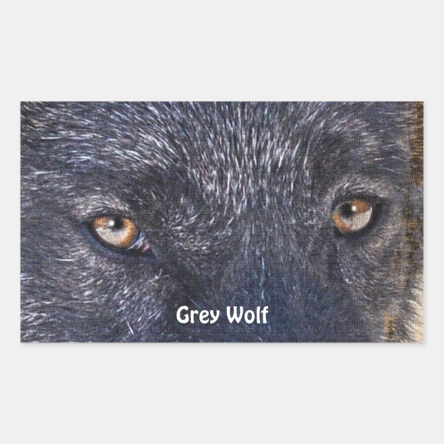GRAY WOLF EYES Stickers de soutien à la faune (Devant)