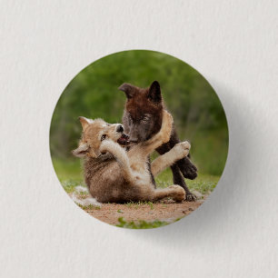 Gray Wolf Pups Wresting 1 Inch Round Button