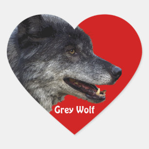GRAY WOLF Wildlife Heart Sticker Collection