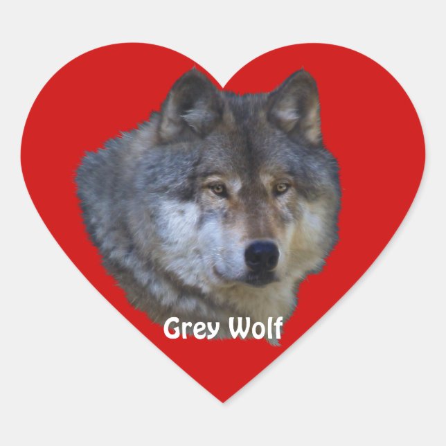 GRAY WOLF Wildlife Heart Sticker Collection (Devant)