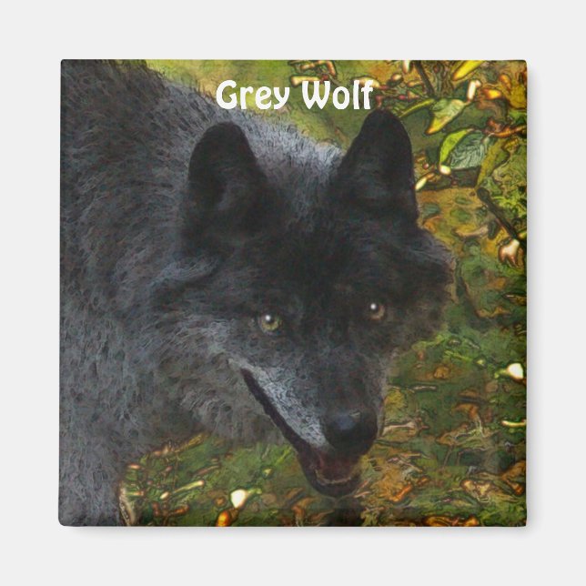 GRAY WOLF Wildlife Supporter Photo Magnet (Devant)
