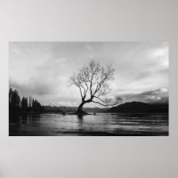 GRAYSCALE PHOTO OF BARE TREE ON CALM BODY OF WATER