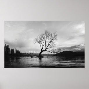GRAYSCALE PHOTO OF BARE TREE ON CALM BODY OF WATER POSTER