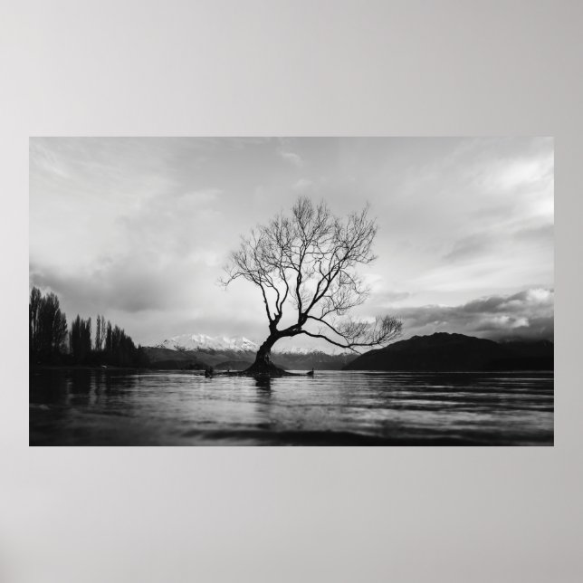 GRAYSCALE PHOTO OF BARE TREE ON CALM BODY OF WATER POSTER (Front)