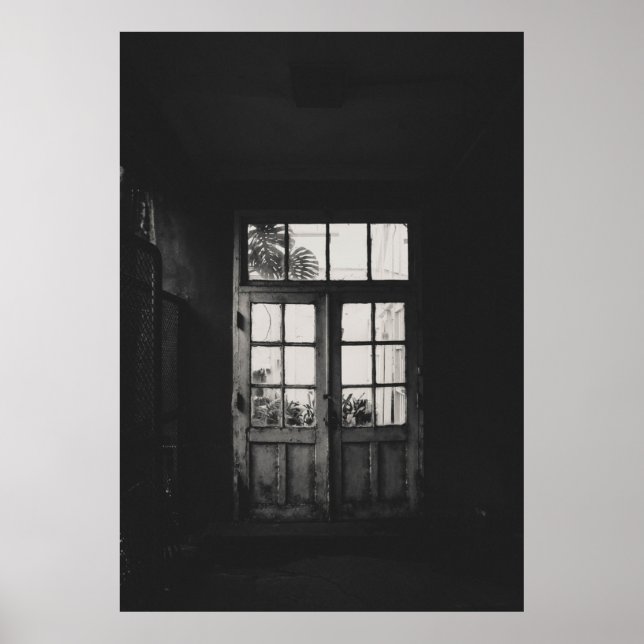 GRAYSCALE PHOTO OF WOODEN FRAMED CLEAR GLASS DOOR POSTER (Front)
