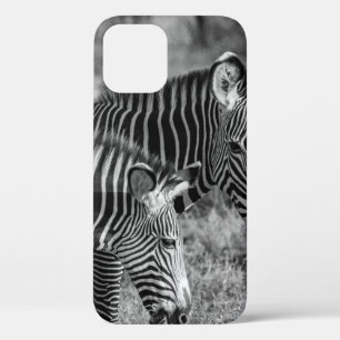 GRAYSCALE PHOTO OF ZEBRAS iPhone 12 CASE