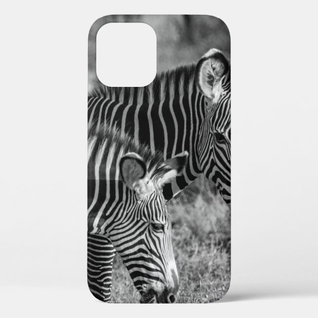 GRAYSCALE PHOTO OF ZEBRAS Case-Mate iPhone CASE (Back)