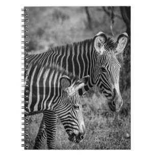 GRAYSCALE PHOTO OF ZEBRAS NOTEBOOK