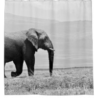 GRAYSCALE PHOTOGRAPHY OF ELEPHANT