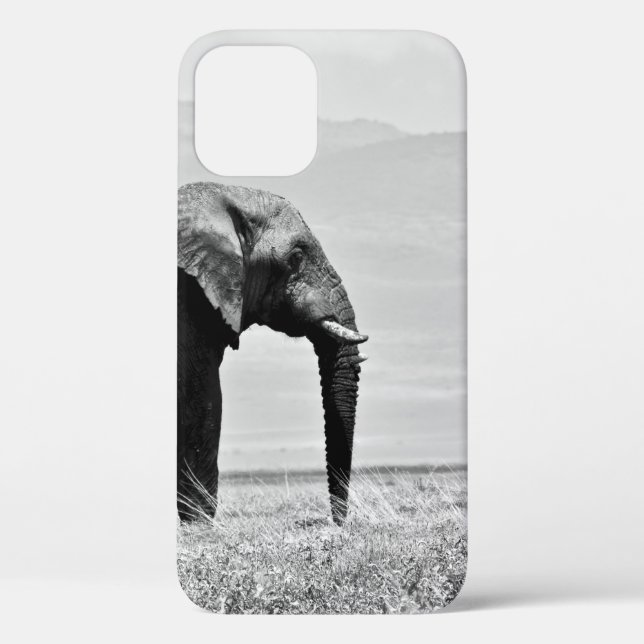 GRAYSCALE PHOTOGRAPHY OF ELEPHANT Case-Mate iPhone CASE (Back)