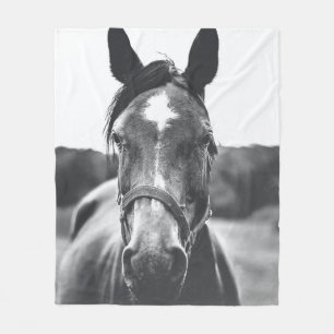GRAYSCALE PHOTOGRAPHY OF HORSE FLEECE BLANKET