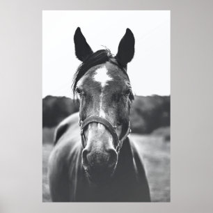 GRAYSCALE PHOTOGRAPHY OF HORSE POSTER