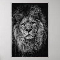 GRAYSCALE PHOTOGRAPHY OF LION