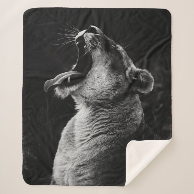 GRAYSCALE PHOTOGRAPHY OF YAWNING LIONESS SHERPA BLANKET (Front)