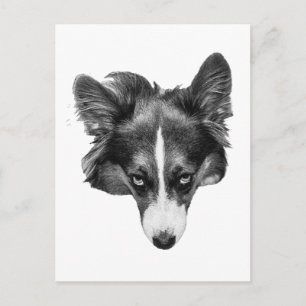 graytone stare postcard