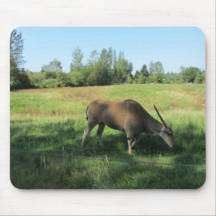 Grazing Antelope Mouse Pad