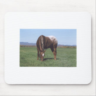 Grazing Appaloosa Mouse Pad