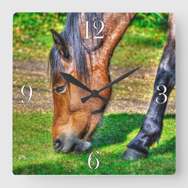 Grazing Bay Pony Equine Photo Horse-lovers Square Wall Clock (Front)