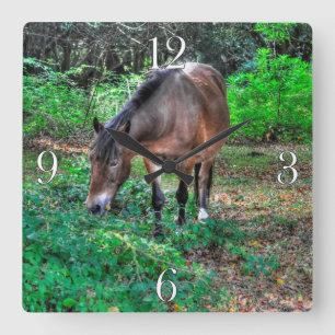 Grazing Bay Pony Equine Photo Horse-lovers Square Wall Clock