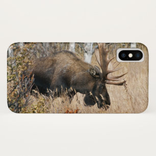 Grazing Bull Moose Case-Mate iPhone Case