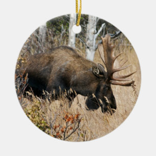 Grazing Bull Moose Ceramic Ornament