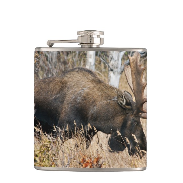 Grazing Bull Moose Hip Flask (Front)