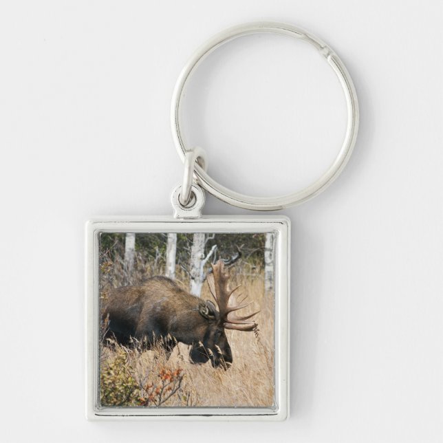 Grazing Bull Moose Keychain (Front)