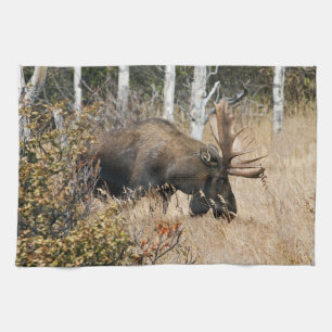 Grazing Bull Moose Kitchen Towel
