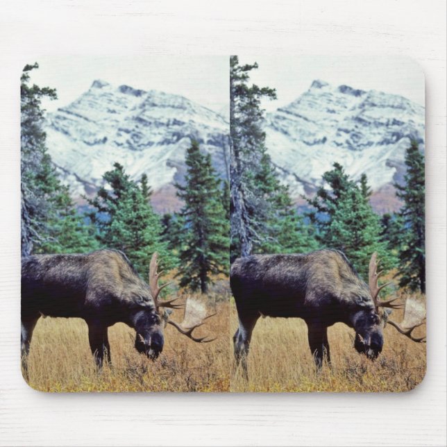 Grazing Bull Moose Mouse Pad (Front)