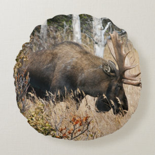 Grazing Bull Moose Round Pillow