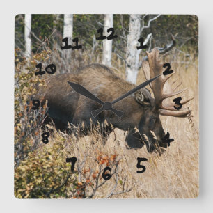 Grazing Bull Moose Square Wall Clock
